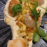 Cuchet Cibo
