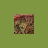 Pizza 721 Cibo