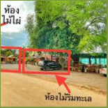 วังสาหร่ายหาดนางกำ Wangsarai Nang Kam Beach ที่พัก สุราษฎร์ธานี outside