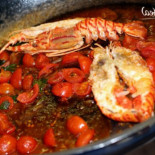 Pelledoca Cibo