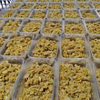 Mawlamyine စွဲ food