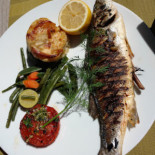 Chez Cane Cibo