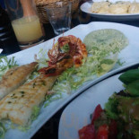 Café Jacques Cibo