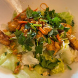 Jubel Cibo