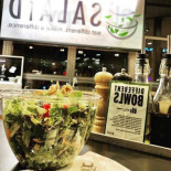 Salaid Cibo