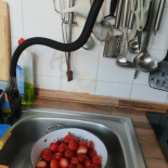 Haiky Cibo