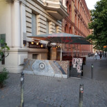 Silberfisch Dentro