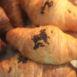 Cuccis Cibo