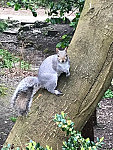 Gildredge Park Cafe outside