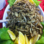 Tappo E Spago Essen