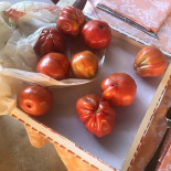 Grani Braci À l'intérieur