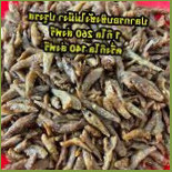 เจ้อ๋อยอาหารทะเลแห้ง ราคาปลีก ส่ง รายใหญ่ชลบุรี food