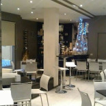 Penguin Cafe Inside