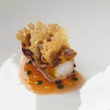 Aqua Cibo