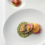 Aqua Cibo