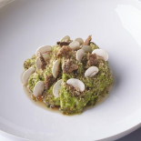 Aqua Cibo