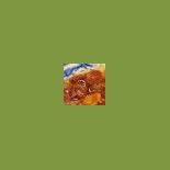 Pacifique Cibo