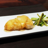 Shinois Cibo
