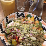 Auden Cibo