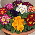 Agriturismo Corte Verzè outside