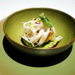 Requinquer Cibo