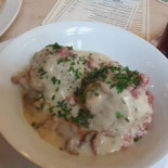 Max Stark Cibo