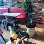 High Cube Cibo