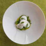 Terra Essen