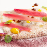 Aqua Cibo