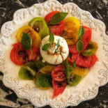 Dibiteri Cibo