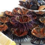I Pesciolini Nourriture
