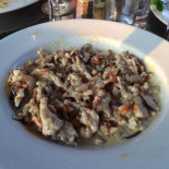 Stonecat Cibo