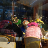 L'iguane Cibo