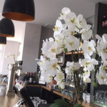 L'event Cibo