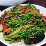 Wonderful Cibo
