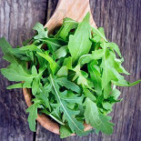 Orientalis Cibo