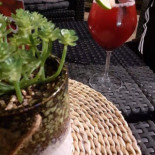 The Pattern Cibo