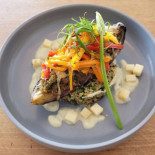 Pof Cibo