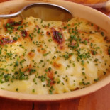 Shellona Cibo