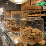 Mibü Cibo