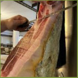 Ramis Cibo