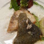 O'to Cibo
