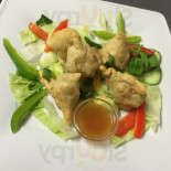 Hari Krishna Cibo