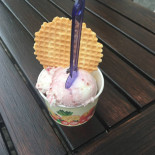 Il Glaciale Cibo