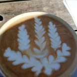 Café Einstein Emden Dentro
