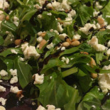 Funfos Cibo