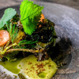 Terrae Cibo