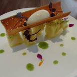 Allium Cibo