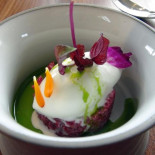 Allium Cibo