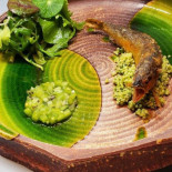 Requinquer Cibo